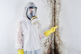 Best Basement Mold Removal  in Osakis, MN